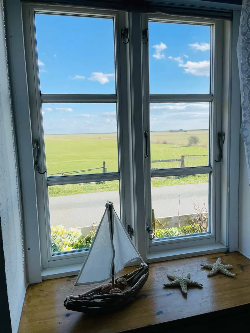 Blick aus dem Fenster über die grünen Wiesen